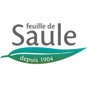 Feuille de Saule